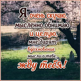 Postcard вдохновляющая открытка я очень скучаю