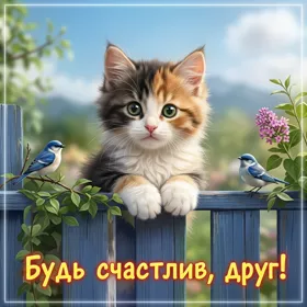 Postcard привлекательная открытка будь счастлив, друг