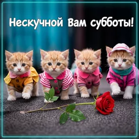 Picture замечательная открытка нескучной вам субботы