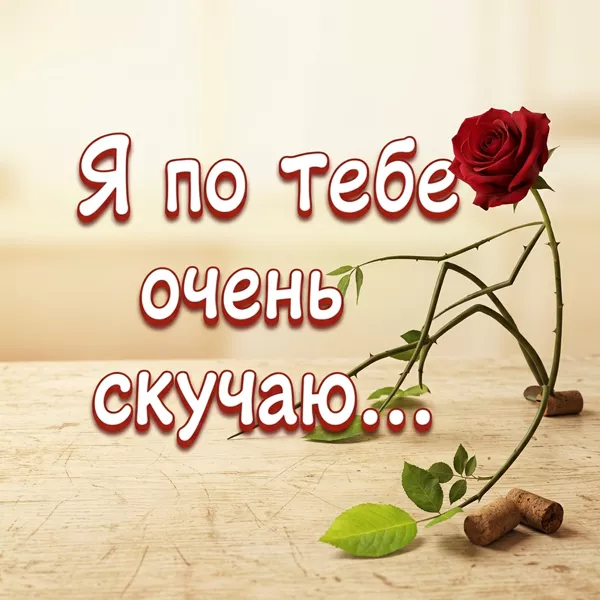 Postcard светлая открытка я по тебе очень скучаю