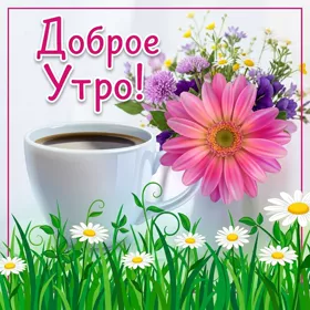 Postcard изысканная открытка доброе утро