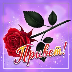 Postcard современная открытка привет