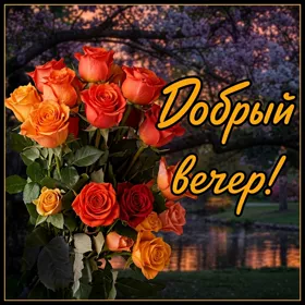 Postcard вдохновляющая открытка добрый вечер