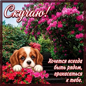 Picture уютная открытка скучаю