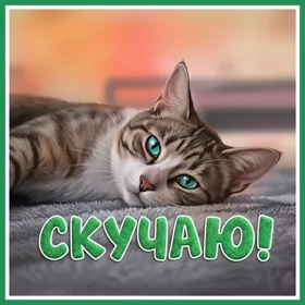 Picture замечательная картинка скучаю