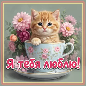 Picture прекрасная открытка я тебя люблю