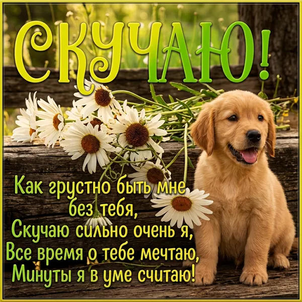 Postcard трогательная картинка скучаю