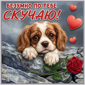 Picture шедевральная картинка буземно по тебе скучаю