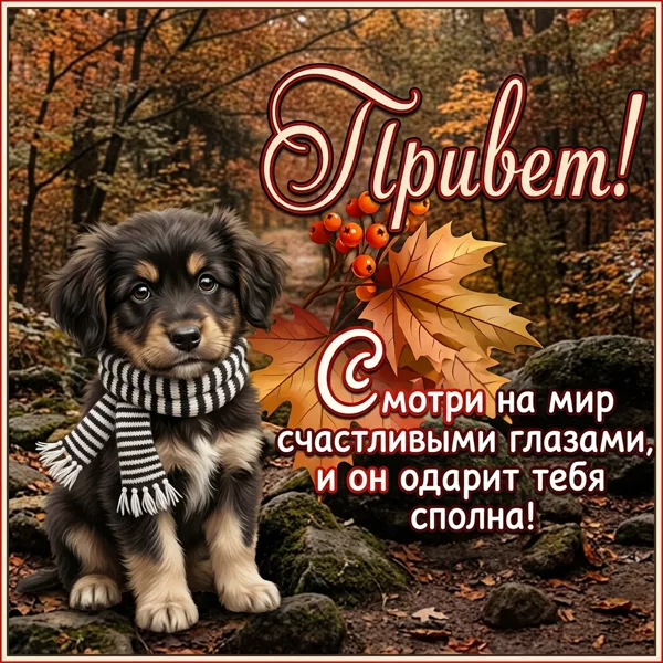 Picture волшебная картинка привет