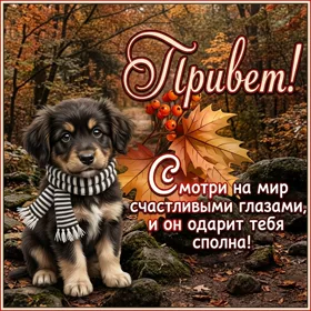 Picture волшебная картинка привет