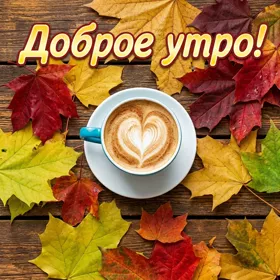 Postcard трогательная картинка доброе утро
