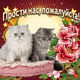 Картинка пожалуйста, прости нас