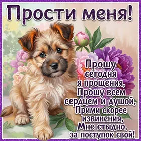 Картинка прости меня