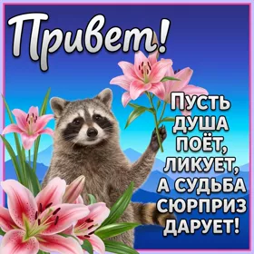 Открытка позитивная картинка привет