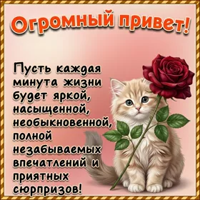 Картинка душевный приветик тебе