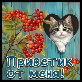 Картинка милый привет посылаю тебе