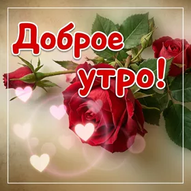 Postcard вдохновляющая открытка с розами доброе утро