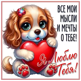 Picture все мои мечты и мысли о тебе! я люблю тебя
