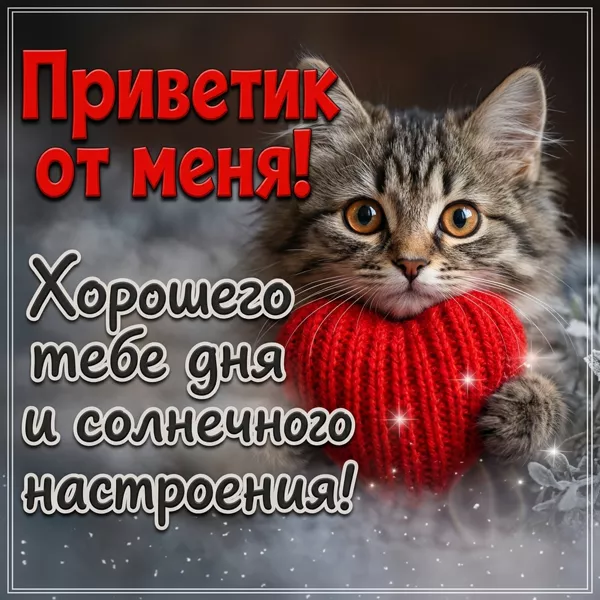 Postcard приветик от меня! хорошего тебе дня и солнечного настроения