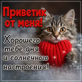 Postcard приветик от меня! хорошего тебе дня и солнечного настроения