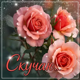 Postcard скромная открытка с розами скучаю