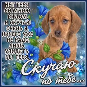 Картинка ты просто знай что я по тебе скучаю