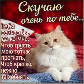 Открытка знай, я так по тебе скучаю