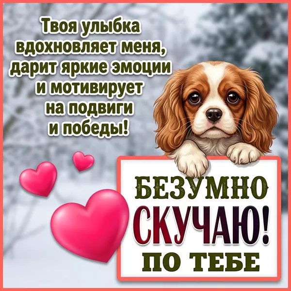 Picture картинка скучаю, хочется снова встретиться и поговорить