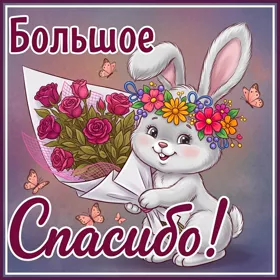 Картинка спасибо, сердечная благодарность