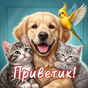 Postcard открытка приветик тебе