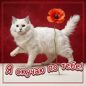 Postcard открытка я очень скучаю по тебе