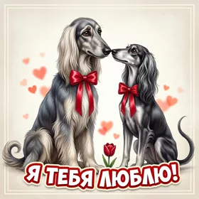 Picture картинка хочу сказать, что люблю тебя