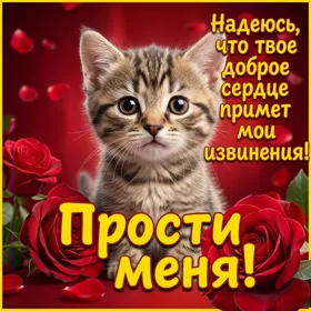 Picture открытка прими мои извинения