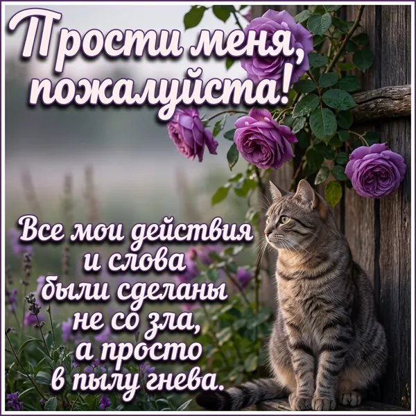 Postcard картинка извини за все