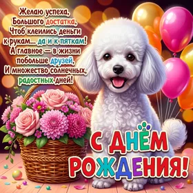 Postcard картинка с днем рожденькой, желаю успехов
