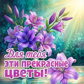 Picture открытка для тебя эти прекрасные цветы