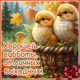 Postcard открытка хорошей субботы, отличных выходных