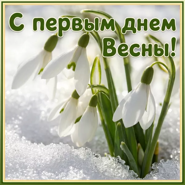 Открытка картинка солнечные поздравления в замечательный день