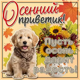 Открытка открытка яркой осени