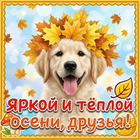 Открытка яркой и тёплой осени, друзья