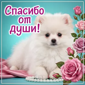 Картинка картинка спасибо большое