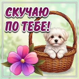 Открытка картинка скучаю с собачкой
