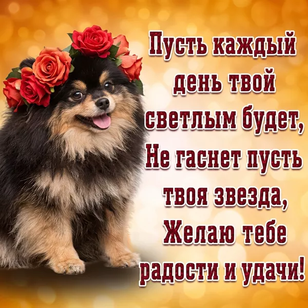 Картинка картинка с теплыми пожеланиями