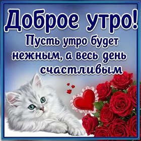 Картинка картинка с добрым утром с пожеланиями