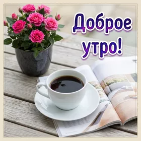 Открытка интересная картинка доброе утро