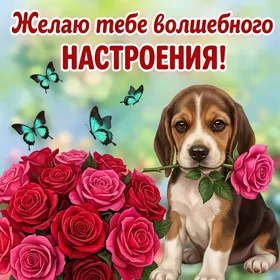 Картинка картинка хорошего настроения с собачкой