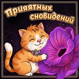 Картинка виртуальная картинка спокойной ночи