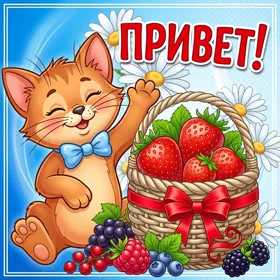 Открытка картинка привет с котикам