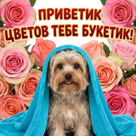 Открытка картинка привет с собачкой