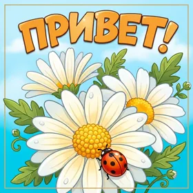 Картинка классная картинка привет